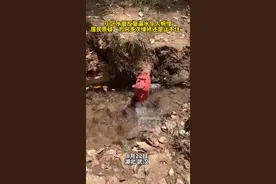 极目帮办｜小区水管反复漏水令人惋惜，居民：“为何多次维修还是止不住”图片