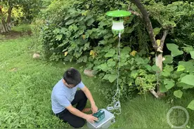 这个夏天，烦人的蚊子变少了？重庆疾控的解答来了图片