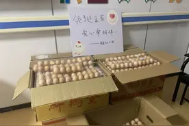 5年捐了6006个虚拟鸡蛋，拿到6006个真鸡蛋，这位“捐蛋大王”做了这件事图片