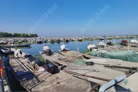 天气这么热，今年你还能如期吃上阳澄湖大闸蟹吗？图片