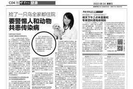 捡了一只鸟全家都住院 要警惕人和动物共患传染病图片