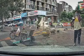 小猫“从天而降”砸中私家车，车主：小猫疑受内伤，引擎盖被砸出三个坑图片