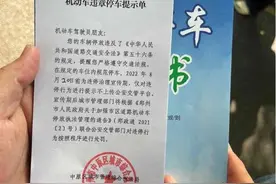 不到20天郑州城管贴74万张违停单？网友热议，官方回应图片