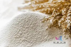 家里的米面为何会生虫？快收藏这些米面防虫小妙招→图片