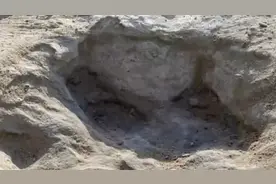 美国高温天气河道干涸 惊现1.13亿年前恐龙足迹图片