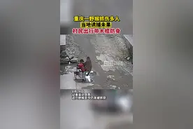 重庆一野猴抓伤多人，当地诱捕未果，村民出行带木棍防身图片