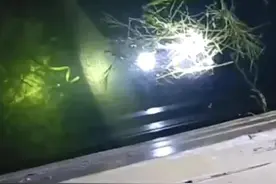 河南平顶山抽干湖水抓怪鱼遭网友质疑，专家：物种入侵，抓雀鳝很有必要图片