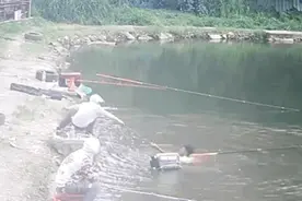 冲上热搜！男子钓鱼反被鱼拉下水……图片