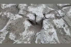 美国得州大旱 1.13亿年前的恐龙足迹重见天日图片