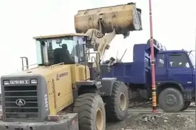 长江之畔的“幸福之约”图片