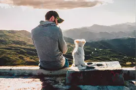 600万粉丝博主被指虐狗，“做不好直播”的萌宠生意钱景几何？图片