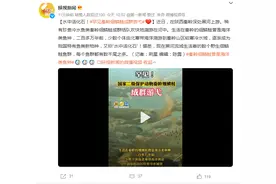 水中活化石！罕见秦岭细鳞鲑成群游弋图片