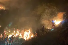 重庆火场10个泪目瞬间|近距离了解云南省森林消防总队跨区增援重庆山火扑救细节图片