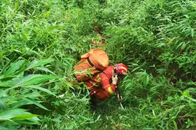 南宁一男一女凌晨两点相约爬山，结果各自迷路了图片