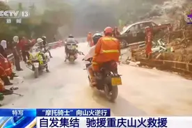 央视热评：“重庆崽儿”值得我们“最耿直的赞”图片