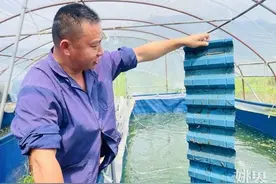 密密麻麻！余姚有人竟养起蚂蝗，像“宝贝”一样精心呵护着它们图片