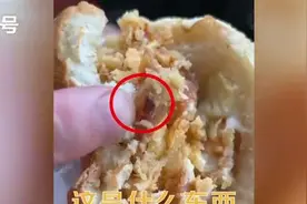 又是这个品牌汉堡，吃出2只炸熟蟑螂……图片