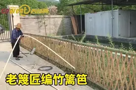 视频 | 石泉60多岁老篾匠编竹篱笆，用老手艺美化乡村图片