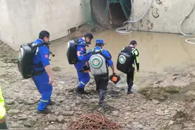 半岛聚焦 | 鳄雀鳝，穷凶极恶来者不善！多地近日报告发现！外来入侵物种危害有多大？图片