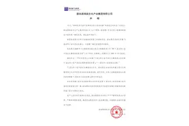 世界小姐真假主办方再陷罗生门，选美比赛背后有本怎样的生意经？图片