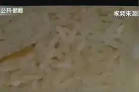 家里的米为啥凭空出现小虫？专家释疑图片