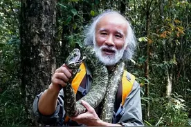 神奇生物在哪里丨最迷人的最危险，我国特有毒蛇“小青龙”就在湖南郴州图片
