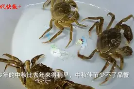 别着急！大闸蟹中秋可以尝鲜，想吃肥美的得等到国庆图片