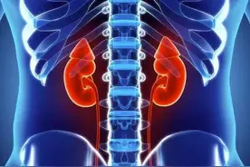 早期肾病不痛不痒，出现这三个征兆，一定要非常重视图片