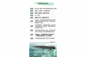 鳄雀鳝是什么，能吃吗？除了它，我国还有哪些外来有害物种？图片