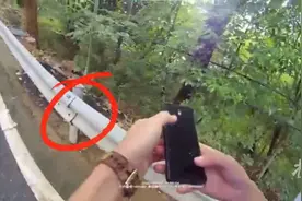 浙江16岁少年骑电瓶车撞护栏，现场民警急寻一块骨头……医生：花一百万元也买不来图片