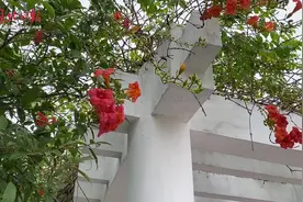 华中科技大学新生报到 看看萌新们对新生活有什么期待吧图片