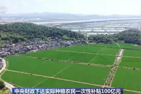 中央财政下达实际种粮农民一次性补贴100亿元 记者实地走访看效果图片
