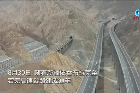 全球连线｜第三条进出新疆高速公路通车图片