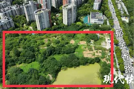 南京城南近百亩土地抛荒十几年，开发商为啥不动工？图片