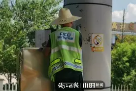 密恐者慎入！​每天十几辆运蜂车上下高速，上万只蜜蜂“越狱”图片