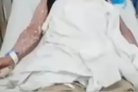 被咬一口，男子全身麻痹、倒地休克……看到它们，退！退！退图片