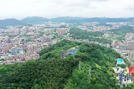 「莞家·对话篇」东莞市凤岗镇党委书记张耀洪：系统谋划，全力推动城市精细化管理图片