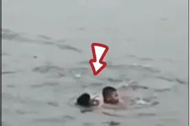 事发杭州！这个视频爆了！主人公身份曝光，评论区画风又变了图片