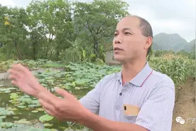 柳州一村庄来了只猴子，掰玉米摘茄子毫不客气图片