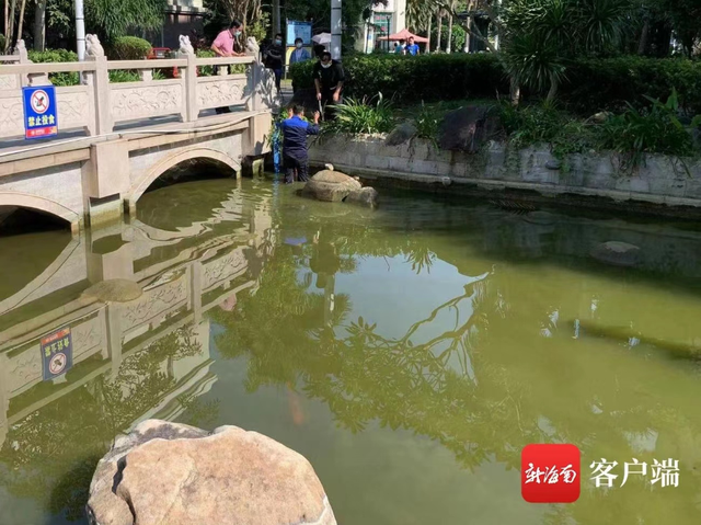 海南双牙鱼图片 2026年海南双牙鱼价格是多少