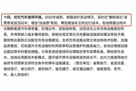 为促进汽车消费，湖北消费券中将增加“加油券”图片