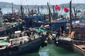 蟹满仓！开海首日 直击“青岛蟹王”海捕肥美大螃蟹盛况图片