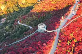 拾光记｜绿水青山焕新颜：山窝窝的“变身”（上）图片