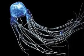 这种伤口千万别用清水冲！男童因此皮肤溃烂…图片