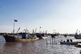 一大波海鲜即将上桌！沧州400余艘渔船拔锚起航图片