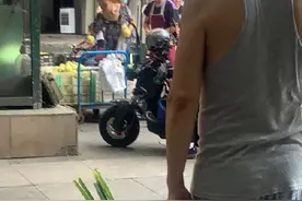 四川男人有点厨艺天赋在身上图片