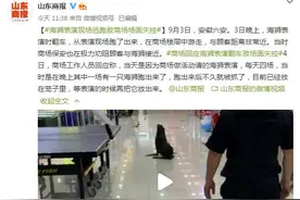 海狮表演现场逃跑致商场场面失控图片