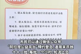 当流浪猫住进“猫岛”，上海首个城市流浪猫管理中心挂牌成立图片