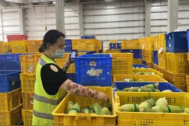 成都抗疫保供实录：生产端“管够”，零售端“不断货”图片