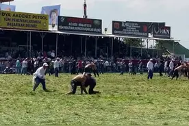 你听说过橄榄油摔跤比赛吗？跟随天目海外拍客来一探究竟图片